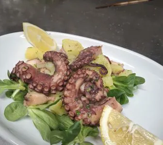Grilloktopus