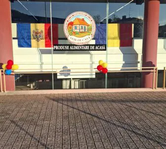 Ingresso dor de casa